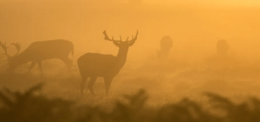 Crypto Trading Bot in Python: Automating your trading strategy